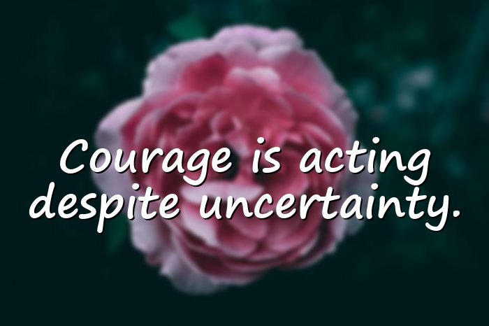 abraham lincoln quotes - 11