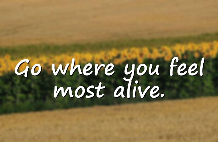 adventure quotes - 21