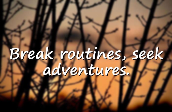 adventure quotes - 6