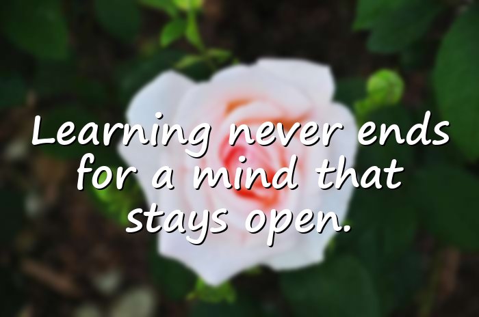 albert einstein quotes - 21
