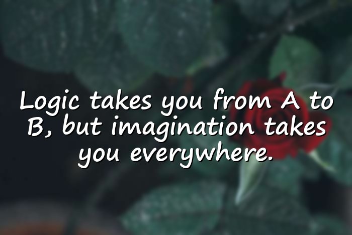 albert einstein quotes - 16