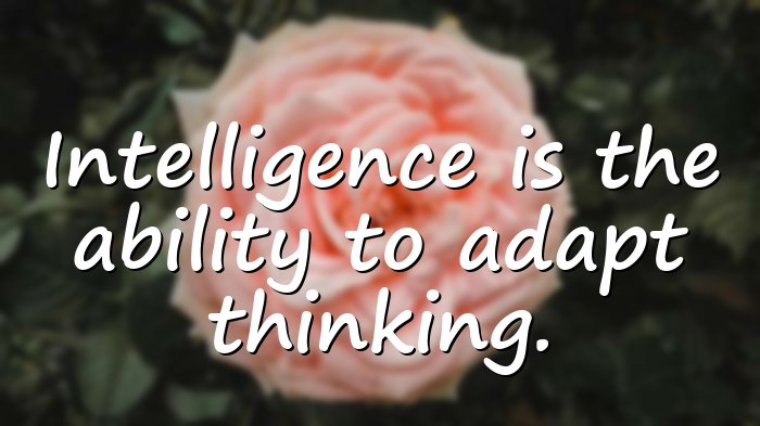 albert einstein quotes - 21