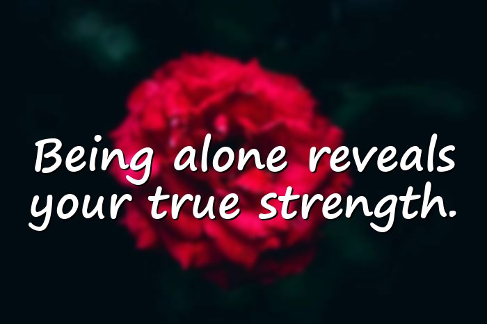 alone quotes - 21