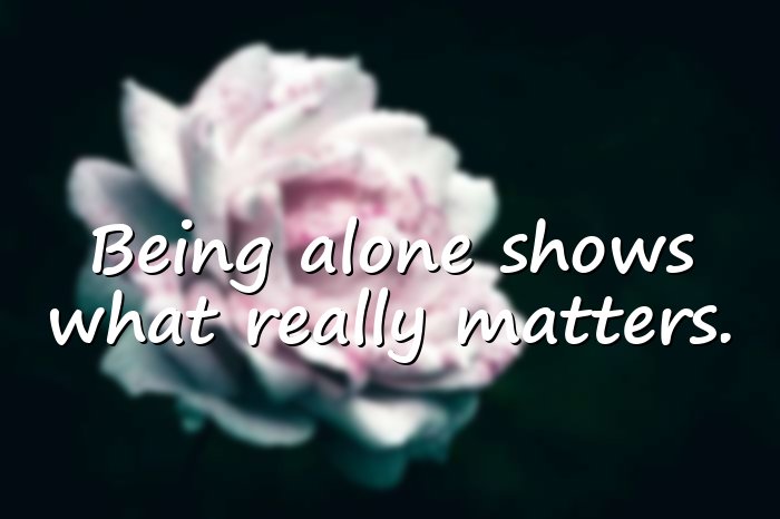 alone quotes - 21