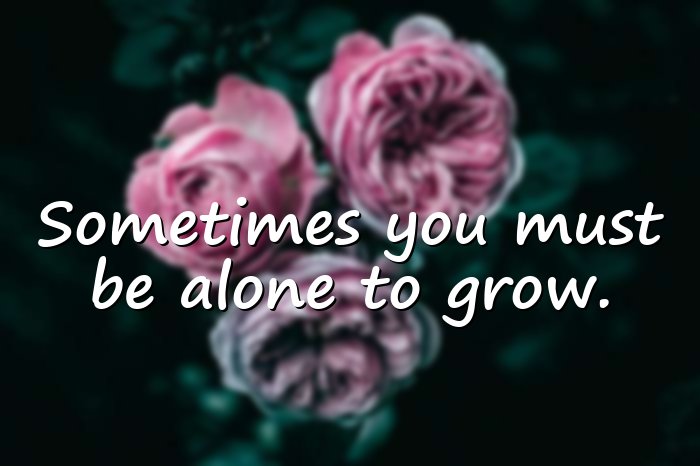 alone quotes - 1