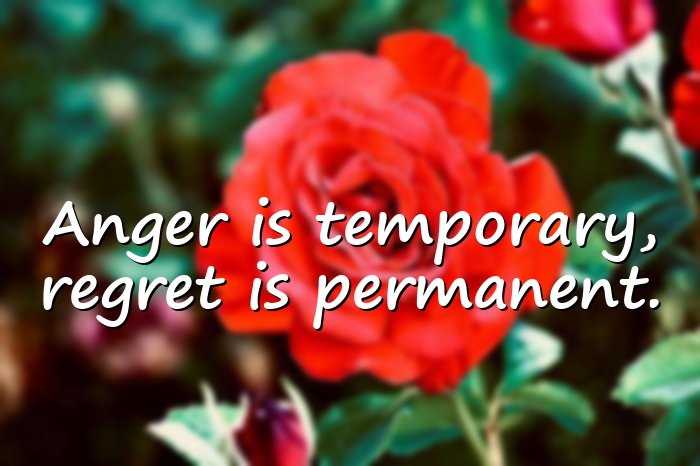 anger quotes - 21