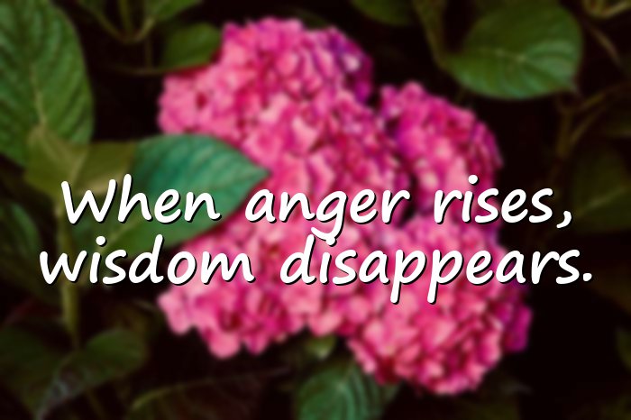 anger quotes - 16