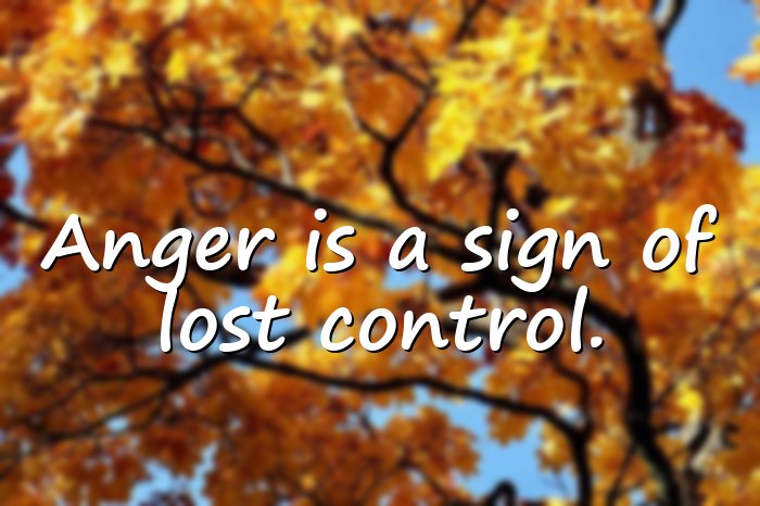 anger quotes - 6