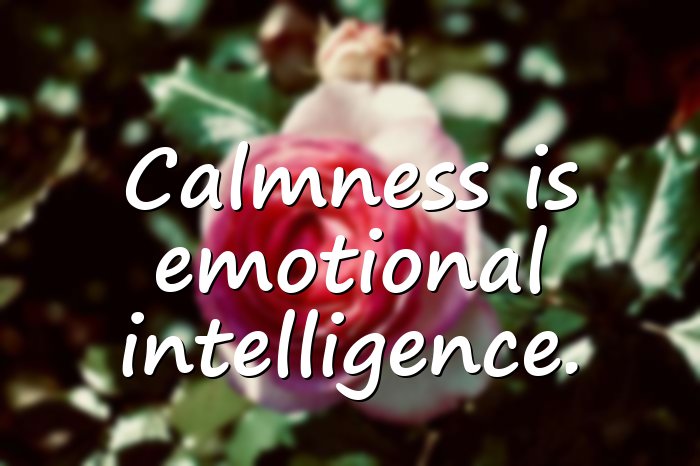 anger quotes - 21