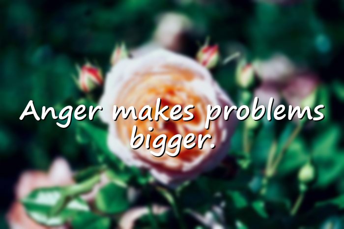 anger quotes - 6