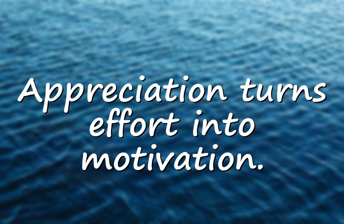 appreciation quotes - 16