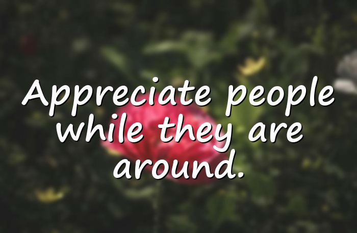 appreciation quotes - 11
