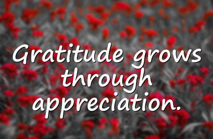 appreciation quotes - 6
