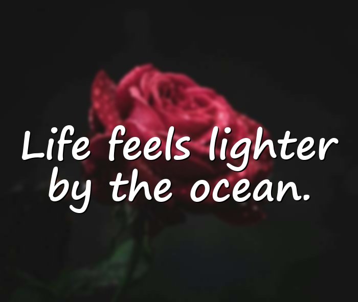 beach quotes - 16