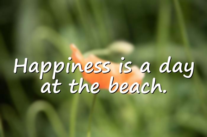 beach quotes - 6