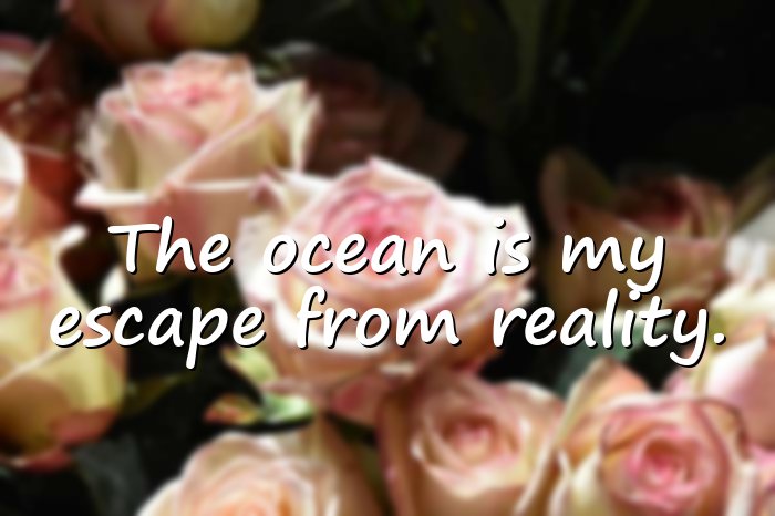 beach quotes - 16