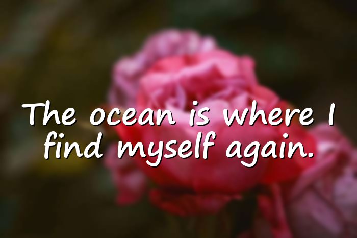beach quotes - 11