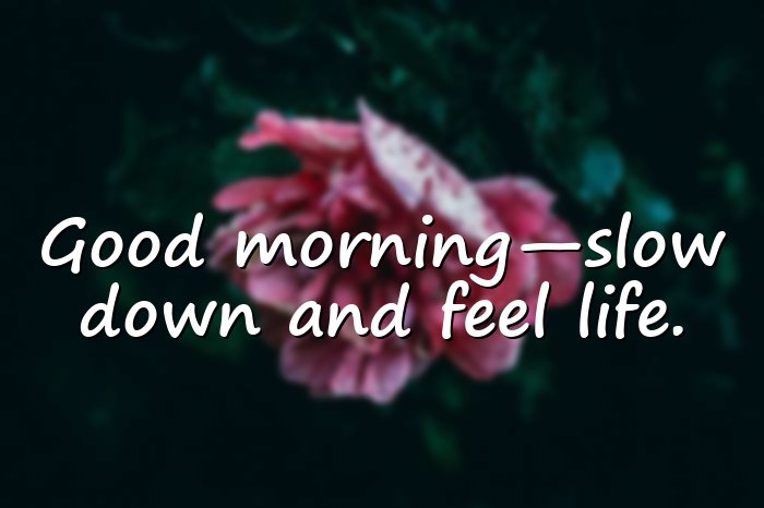 beautiful good morning quotes - 11