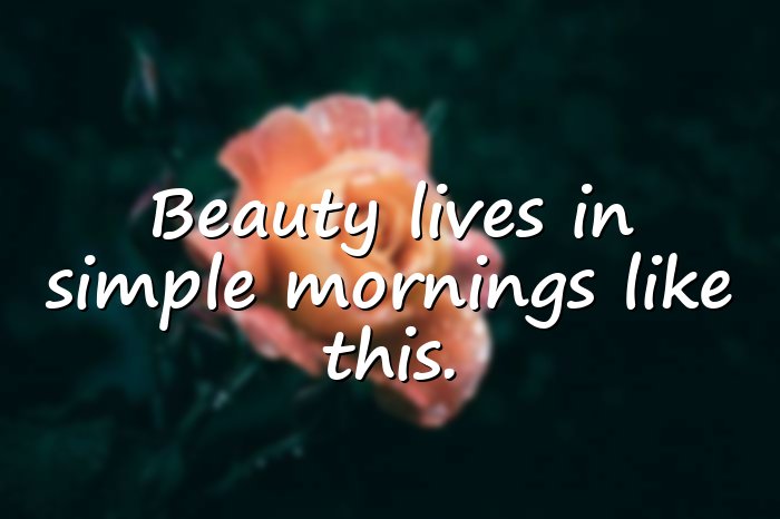 beautiful good morning quotes - 6