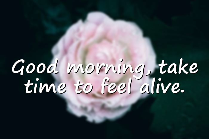 beautiful good morning quotes - 1