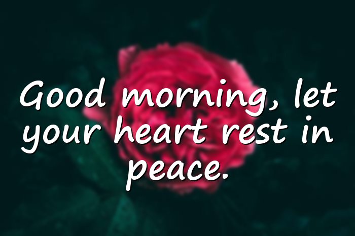 beautiful good morning quotes - 6