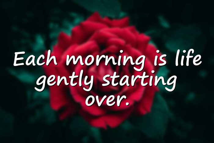 beautiful good morning quotes - 1