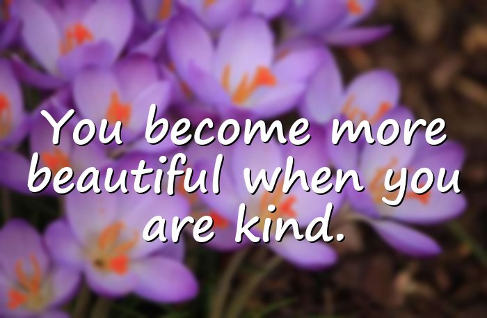 beautiful quotes - 11
