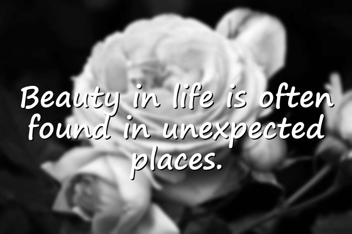 beautiful quotes on life	 - 21