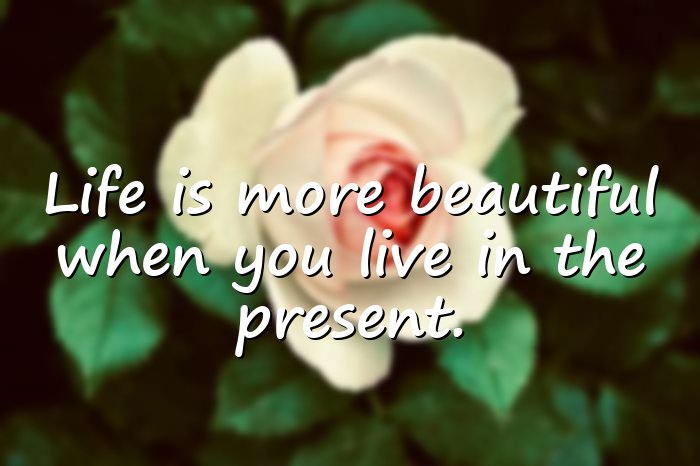 beautiful quotes on life	 - 6