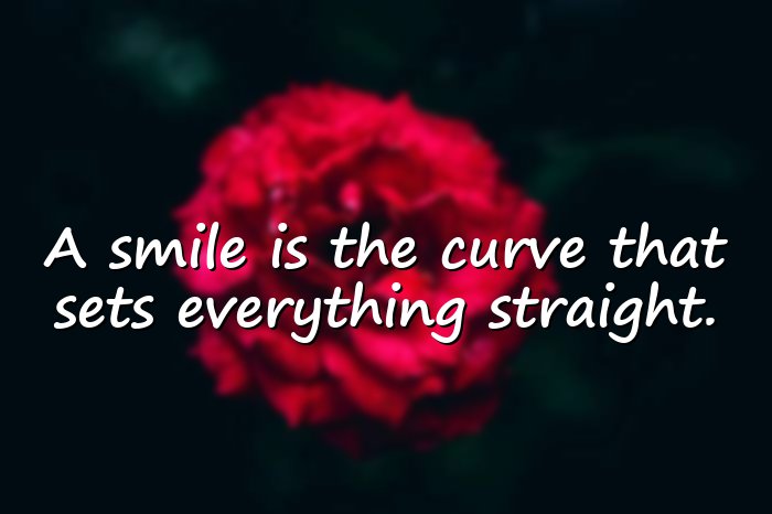 beautiful smile quotes - 16