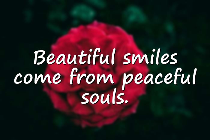 beautiful smile quotes - 21