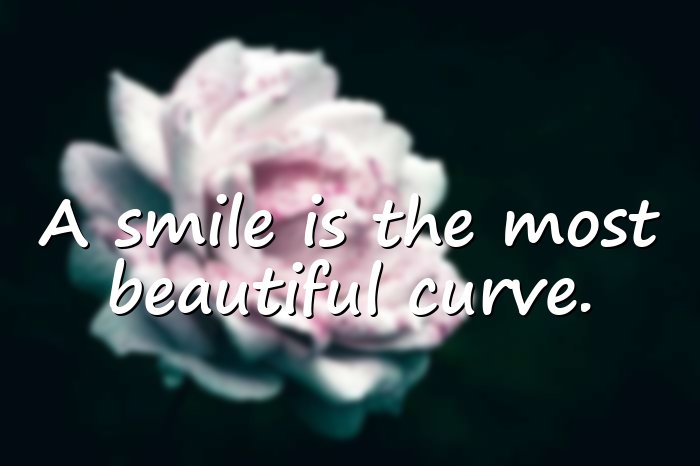 beautiful smile quotes - 16