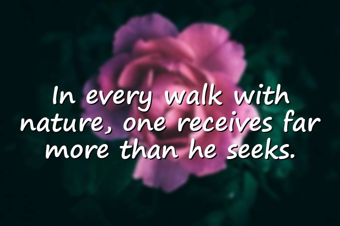 beauty of nature quotes - 21
