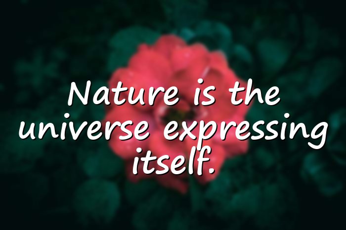 beauty of nature quotes - 6