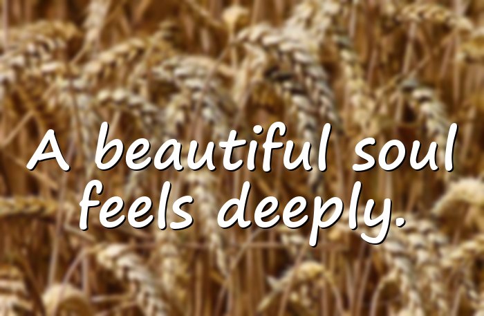 beauty quotes - 21