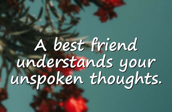 best friend quotes - 11