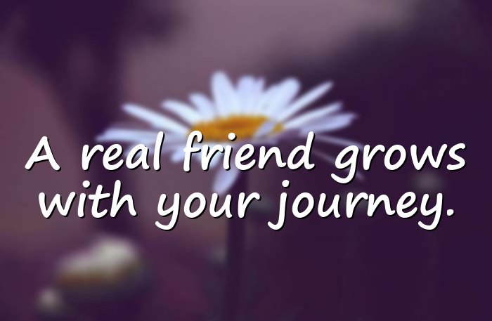 best friend quotes - 1