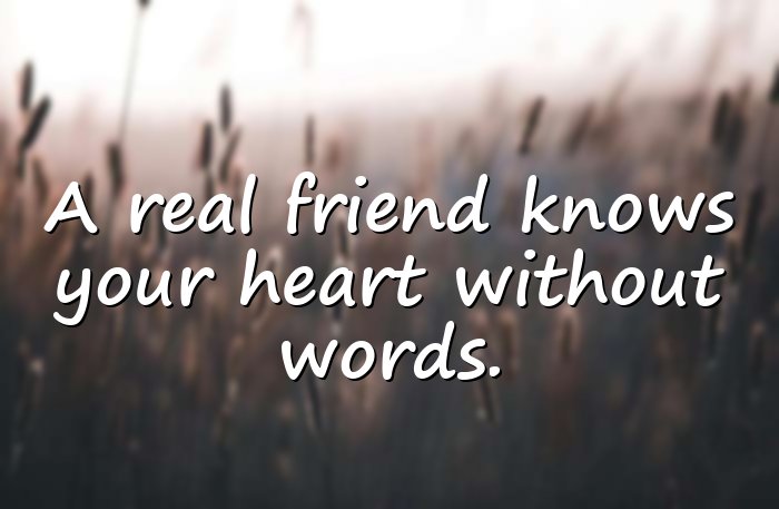 best friend quotes - 16