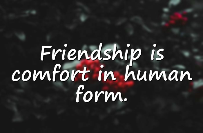 best friend quotes - 11