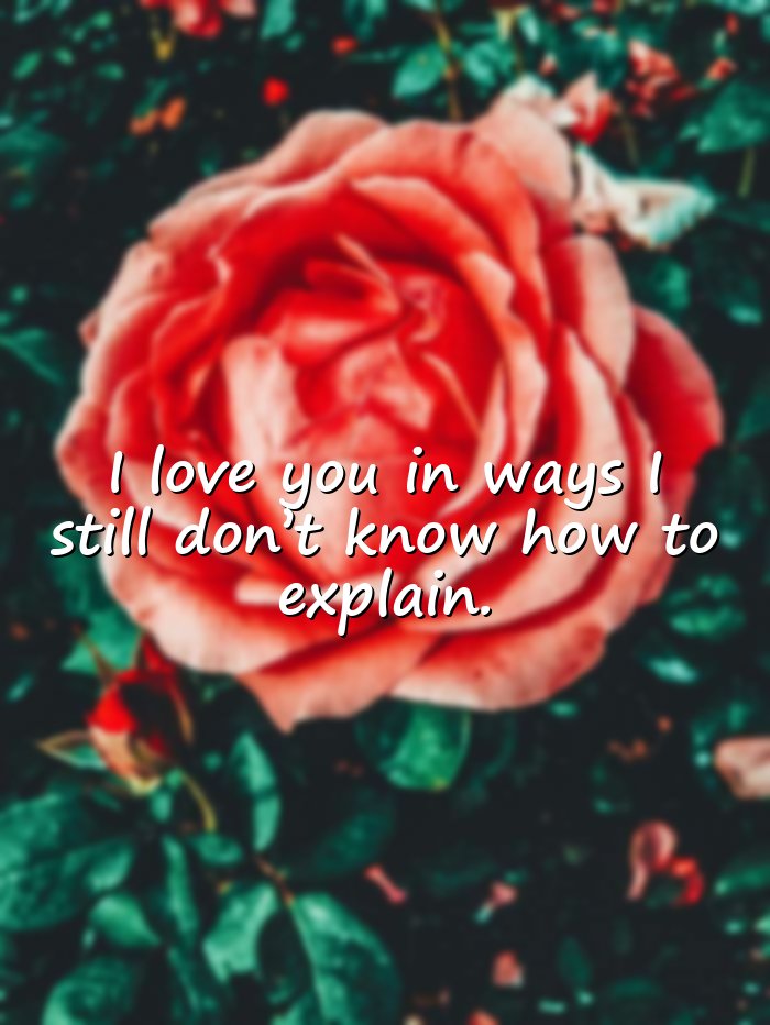 best love quotes - 6