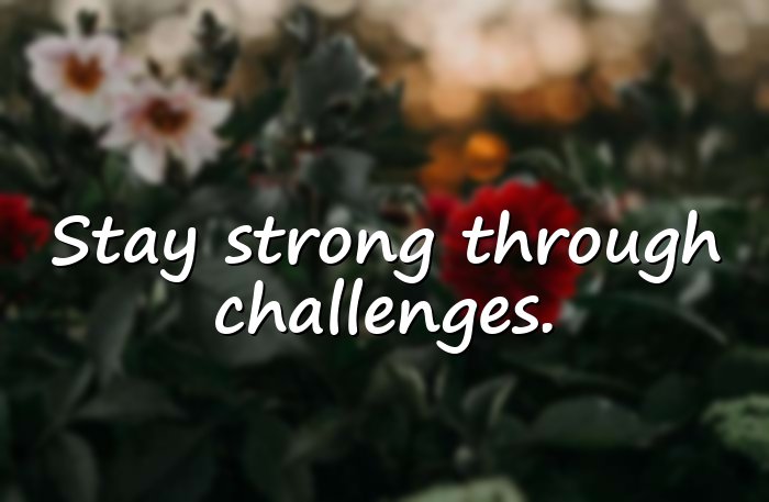 best quotes - 6
