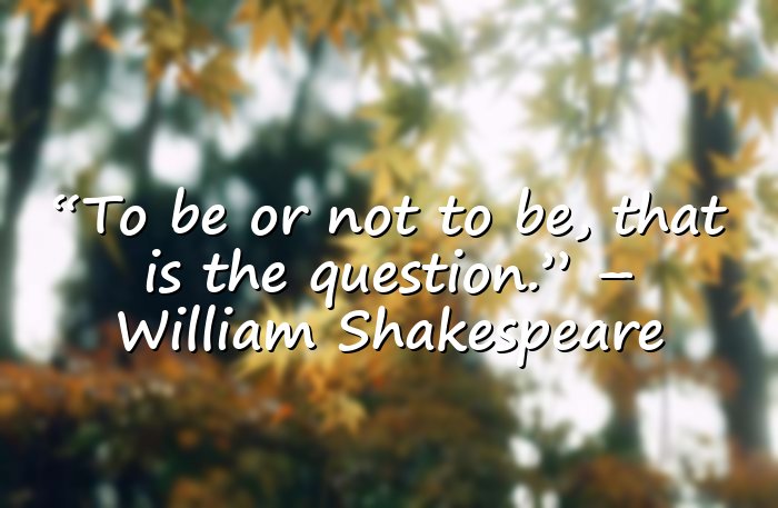 Best Quotes of All Time - 21