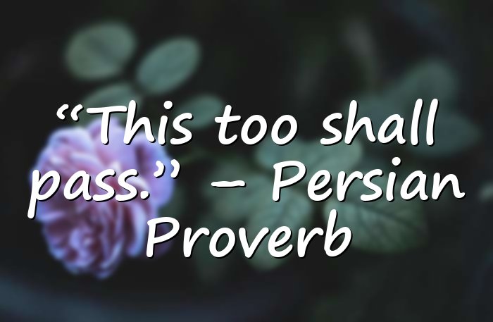Best Quotes of All Time - 11
