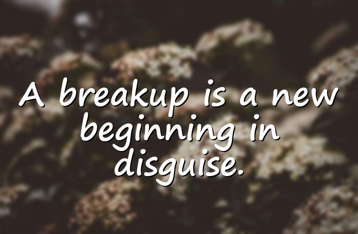 breakup quotes - 21