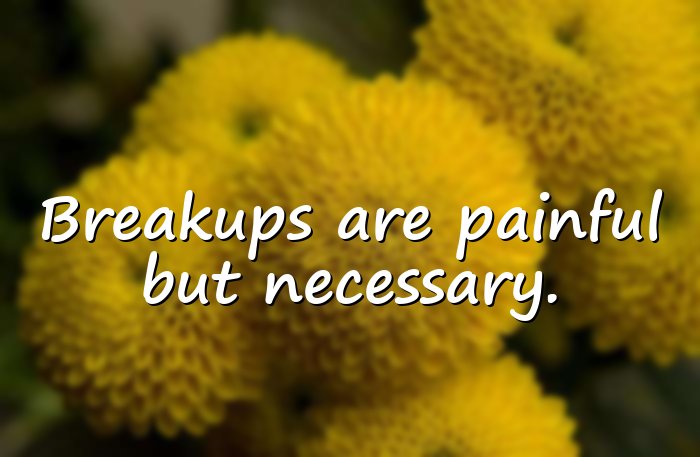 breakup quotes - 6
