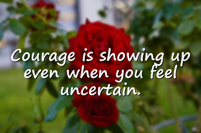 brene brown quotes - 21