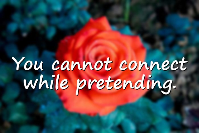 brene brown quotes - 6