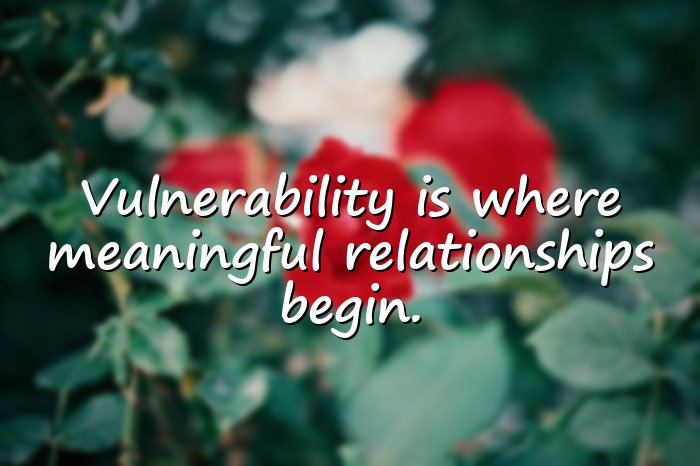 brene brown quotes - 1