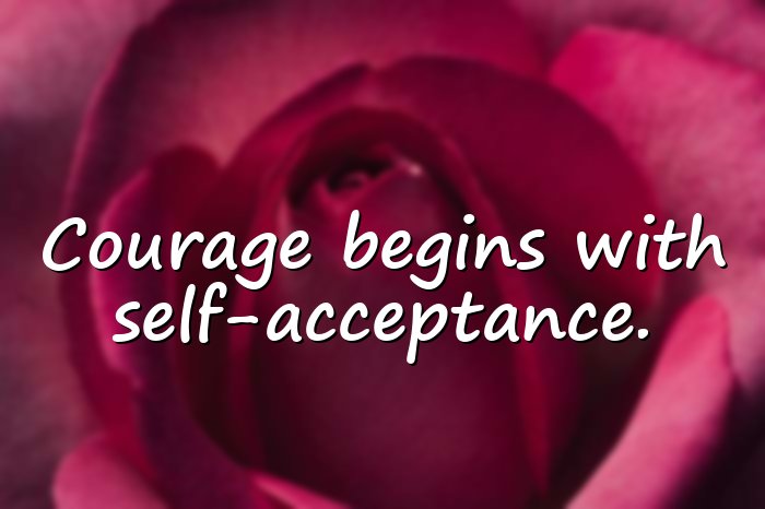 brene brown quotes - 11