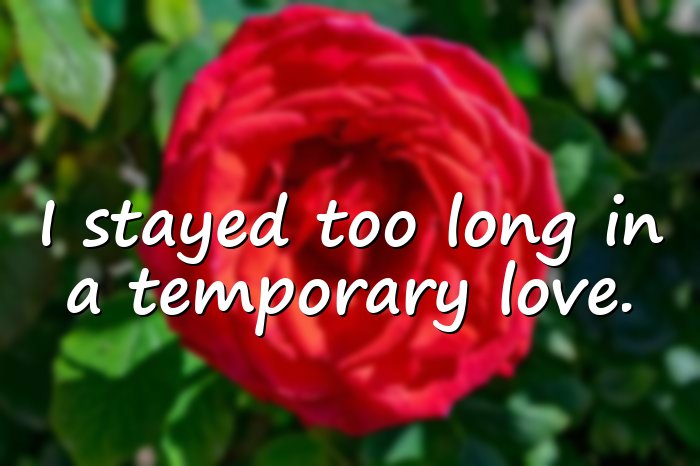 broken heart quotes - 16